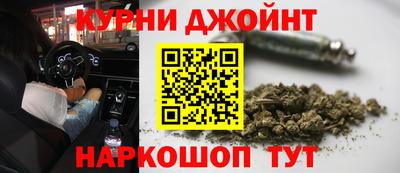 прущие крисы Будённовск