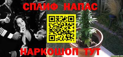 прущие крисы Будённовск