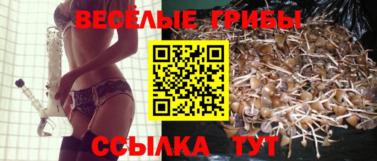 Усинск  Галлюциногенные грибы Psilocybe  Вход с VPN 