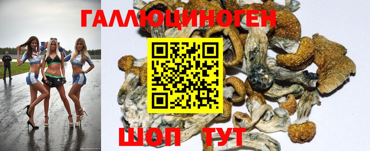 Псилоцибиновые грибы GOLDEN TEACHER Усинск